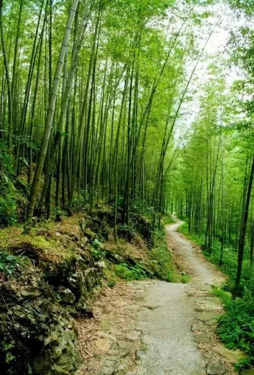 地址:广州市从化区良口镇东北部