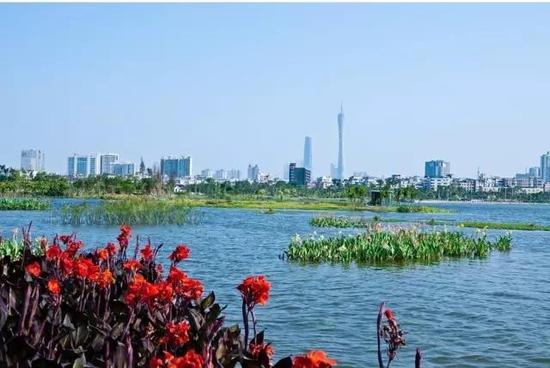 地址:广州市海珠区新滘中路(近广州大道南侧)