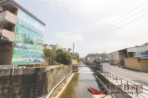 东城老围河进行了生态岸线修复，现在河水清澈多了