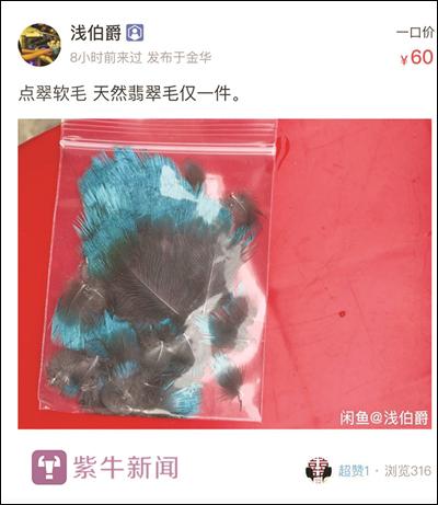 “闲鱼”上的翠鸟羽毛