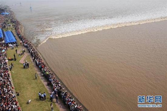 这是在浙江海宁市盐官镇占鳌塔上拍摄的钱塘江“一线潮”（10月7日摄）。新华社记者张铖摄