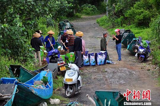 台风登陆前北转移上岸的小船 张再漾 摄