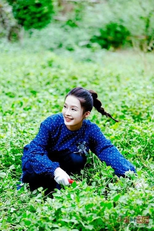 李沁采猪草