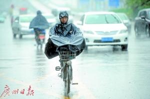 昨日，东莞迎来一场冬雨。广州日报全媒体记者卢政 摄