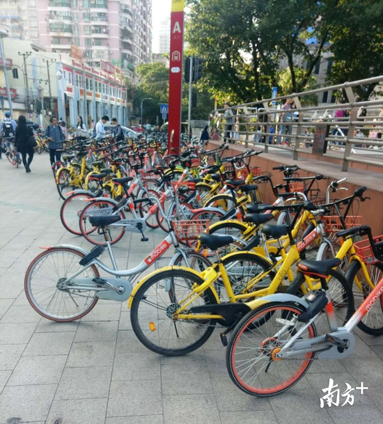 违反共享单车禁投令 广州市交委点名批评ofo和
