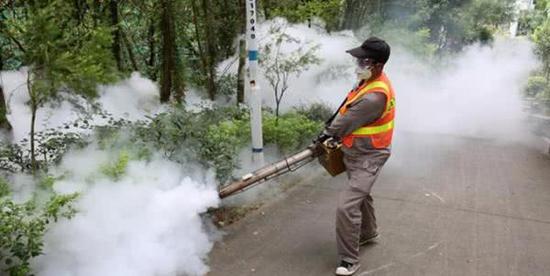 广东省雨水较多，气温适宜，蚊媒密度高于去年同期。