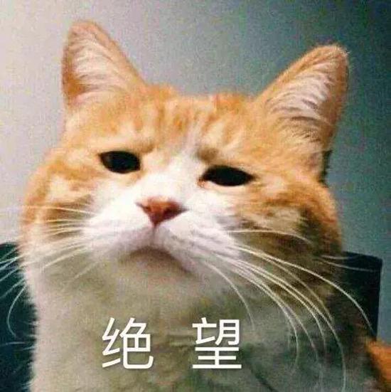 最近,广州黄埔一店主