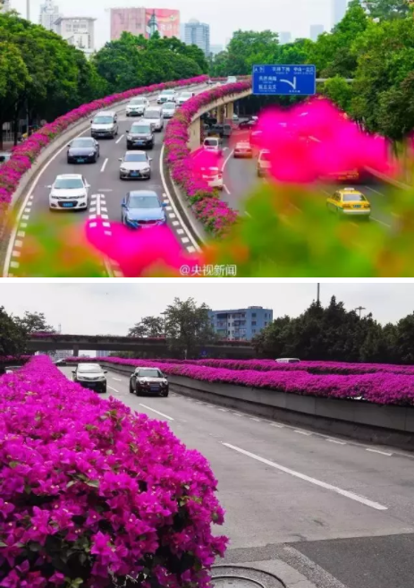 从空中鸟瞰东风路