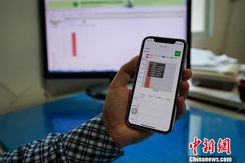 资料图:民众使用手机上网。中新社记者 贺俊怡 摄