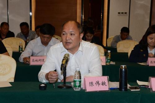 电白区副区长陈伟敏