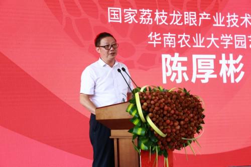 国家荔枝龙眼产业技术体系首席科学家、华南农业大学园艺学院教授陈厚彬专家推介电白荔枝