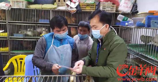 市园林局巡查野生动物市场
