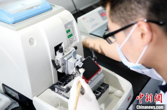 细胞分子诊断中心工作人员正在切取标本去做基因检测　院方供图