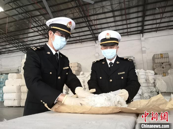 广州海关所属佛山海关驻高明办事处关员对进口棉花进行查验。 谭绮红 摄