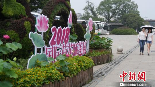 图为7月1日,2018国际荷花睡莲展在扬州瘦西湖景区开展。 孟德龙 摄