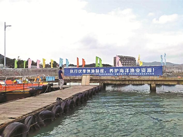 ▲自5月1日12时至8月16日12时，深圳海域将进入长达108天的伏季休渔期。 市海洋渔业局供图
