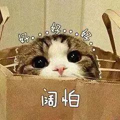而且,个人征信报告是