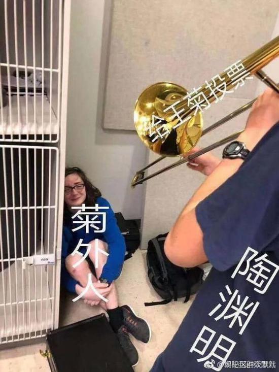 王菊为什么这么红?
