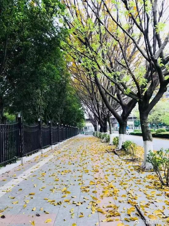 图by霞妹就是天