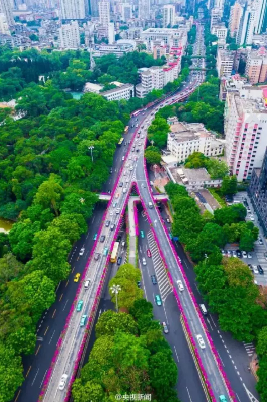 这条连接着越秀区、荔湾区两大老城区的道路