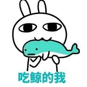 根据最新的电脑模式预报,