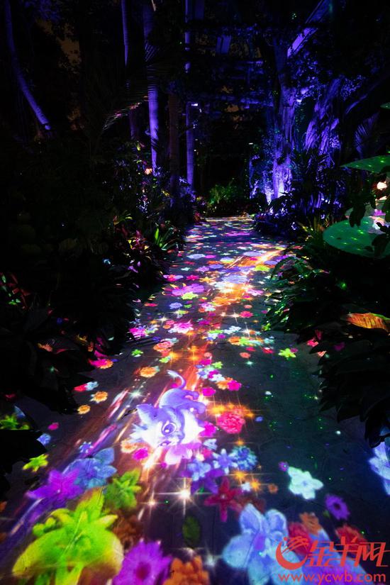 广州|萌宝总动员 长隆十种珍稀动物新生宝宝集体与游客见面