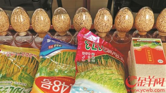 优良水稻新品种