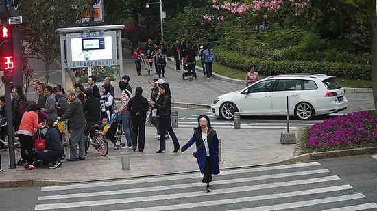 张某某，违法时间：2017年11月25日，地点：新洲莲花路口东侧。