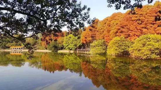 图：诗意花城生活圈