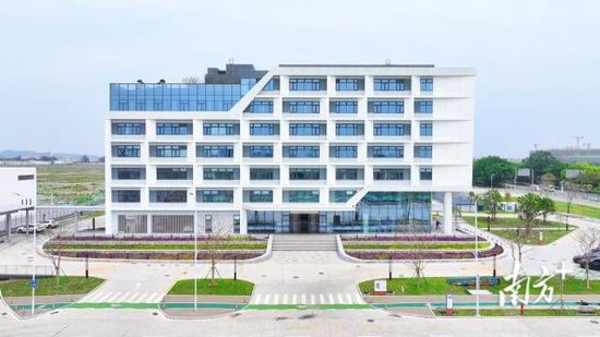 佛山综合保税区。顺宣供图