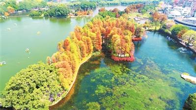 湖泊润泽着广州的一方水土，也曾经是城市连通海外、走向世界的重要枢纽。