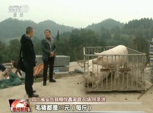 图片来源:央视