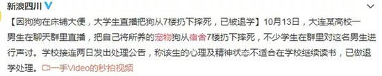 养一只宠物,等于你父母多供了一个孩子上大学