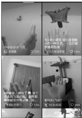 视频网站以“飞鼠”为主要内容的短视频