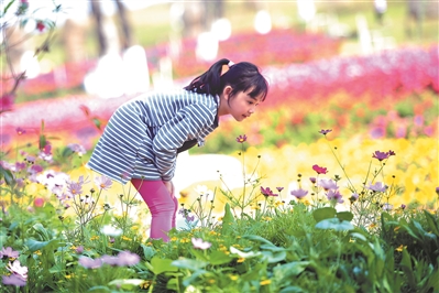 赏花小心花粉过敏，孩子赏花最好别动手碰花。