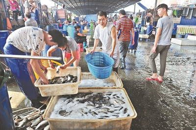 水产市场热闹起来。 广州日报全媒体记者卢政摄