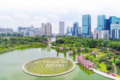 南海千灯湖。(资料图片)珠江时报记者/方智恒摄