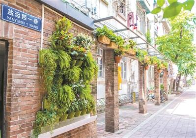 网红植物墙引来许多街坊合影。广州日报全媒体记者庄小龙 摄