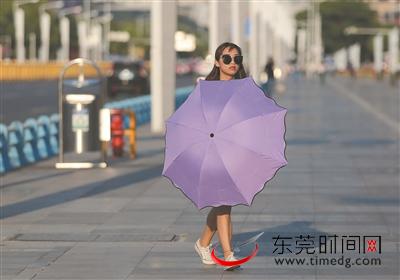 高温天气里,遮阳伞和墨镜是靓女们的标配 记者 陈栋 摄于南城