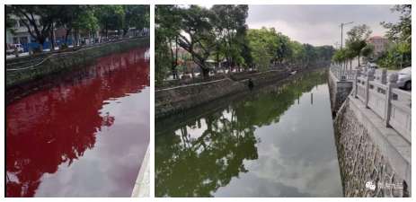 5月16日上午，受污染的河涌段水体已恢复正常。图源：微信公众号 南海九江