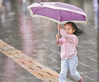 昨日，广州几乎是整天都在下雨。 广州日报全媒体记者黎旭阳 摄