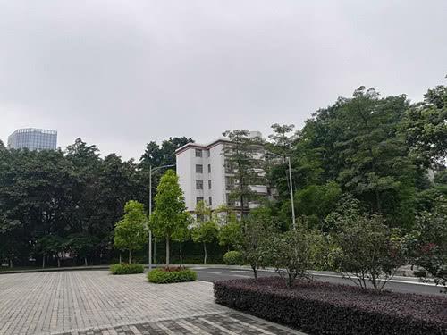 5月31日上午,广州没有明显降水,阴天间多云为主。