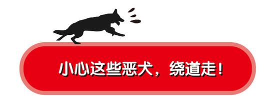 这些凶恶猛烈的大型犬，