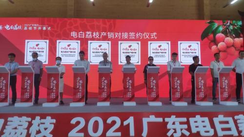 电白荔枝产销对接签约仪式