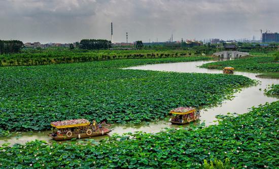 华阳湖湿地公园。(来源:东莞市林业局供图)