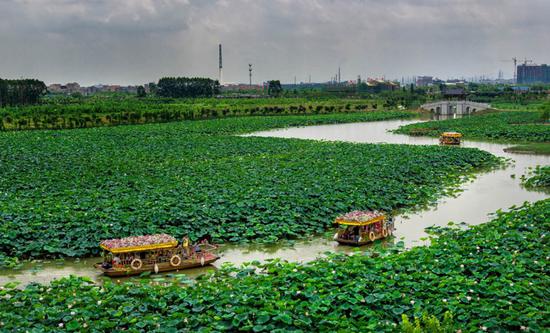 华阳湖湿地公园。（来源：东莞市林业局供图）