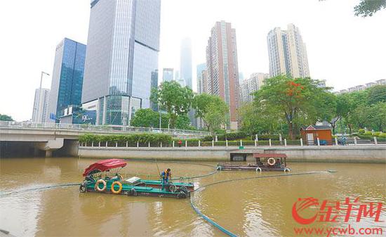 广州|广州:一年“洗河”千余条 “洗”出4万余吨垃圾