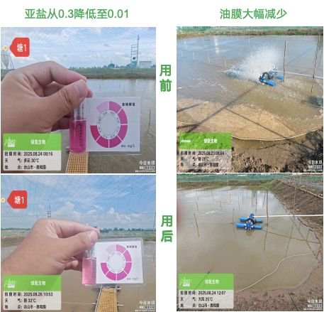 中棚虾调水