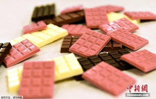 资料图：粉色巧克力与黑巧克力及白巧克力摆放在一起。