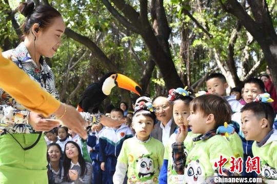2018年广东“爱鸟周”宣传活动21日在广州长隆飞鸟乐园举办。　陈骥旻 摄